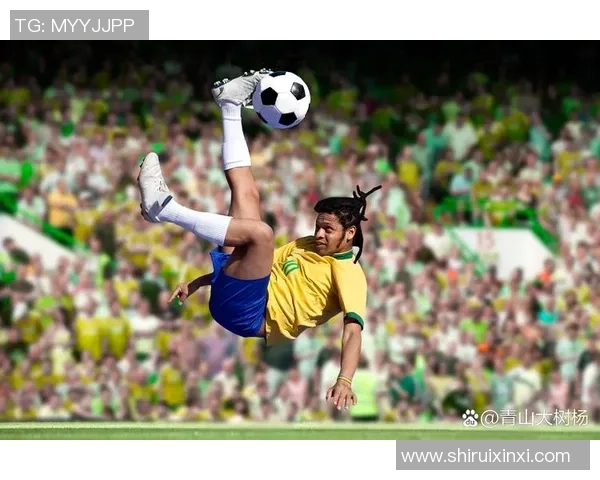 上海网球队在欧锦赛积分榜上以84分稳居第一名展现强劲实力